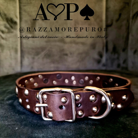 Collare Berenice (ideale per taglie medie e grandi)