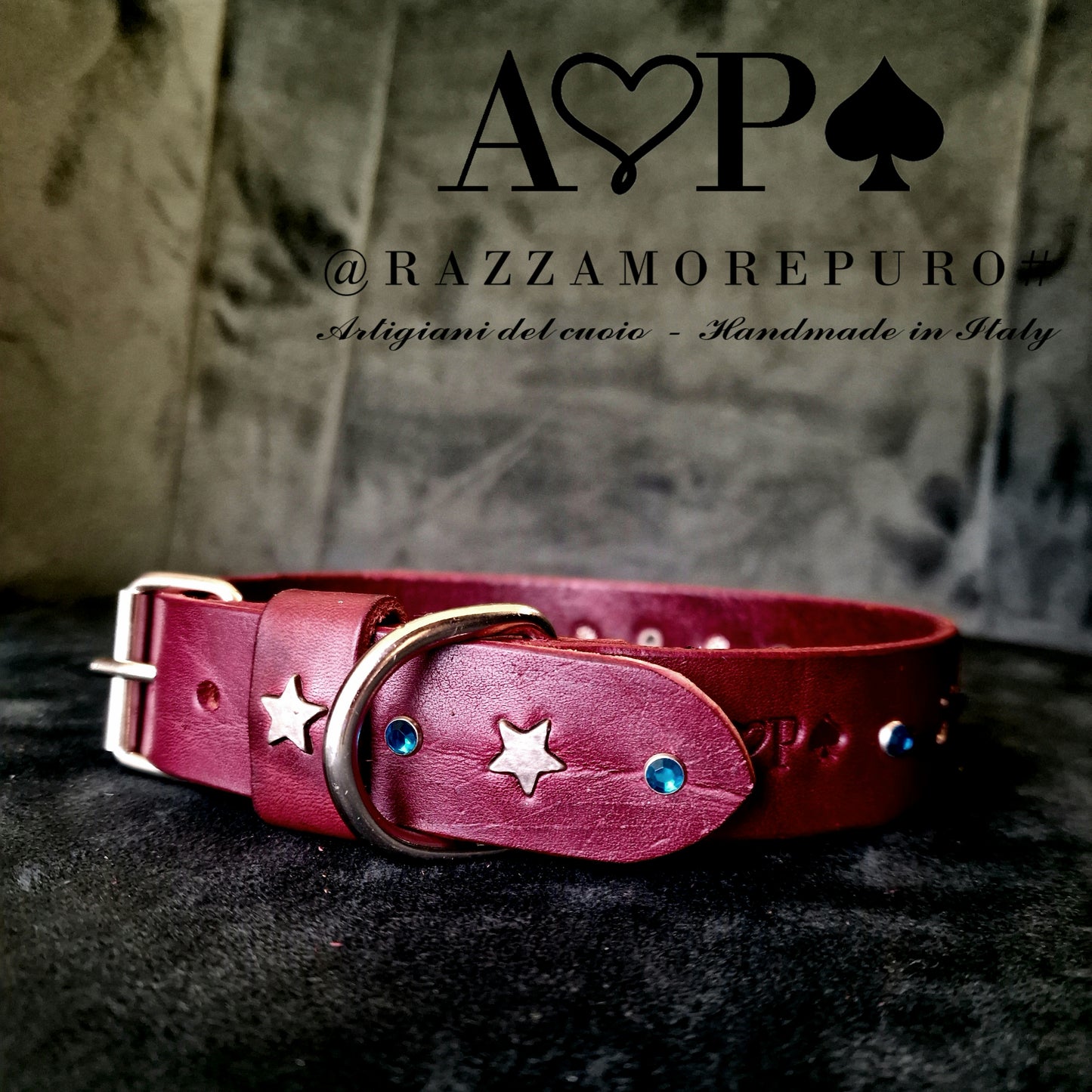 Collare Pegaso (personalizzabile per tutte le taglie)
