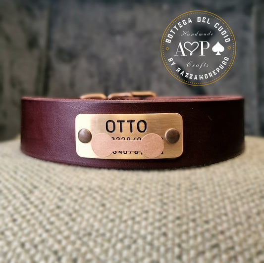 Collare LEPUS con medaglietta di riconoscimento in ottone con nome e numero di telefono inciso (PERSONALIZZABILE PER TUTTE LE TAGLIE)