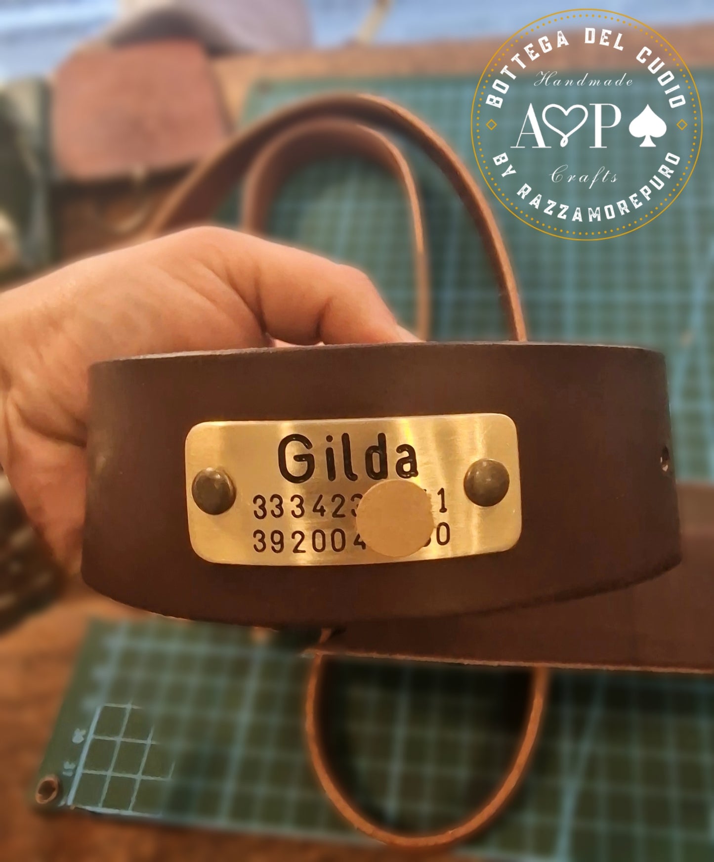 LEPUS collar with engraved name and telephone number (CUSTOMIZABLE FOR ALL SIZES)