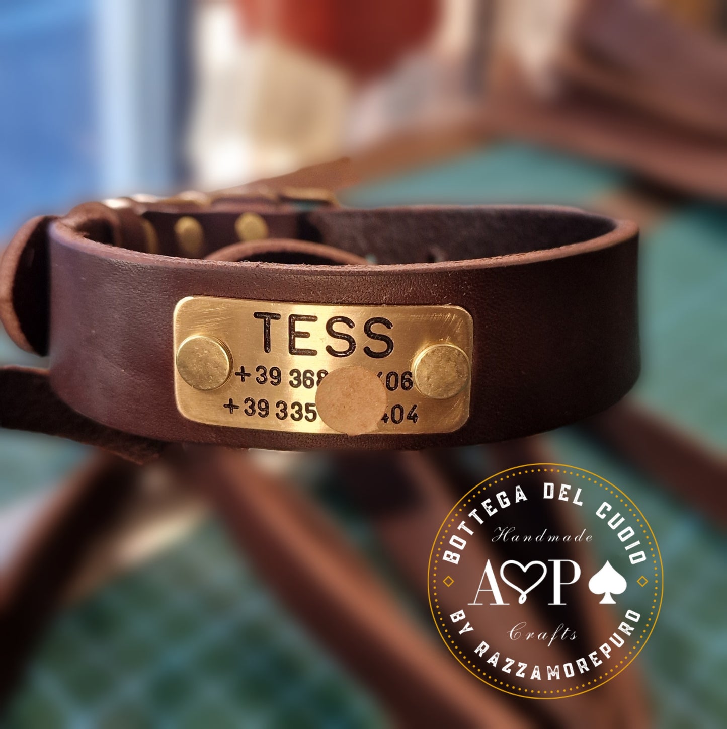 LEPUS collar with engraved name and telephone number (CUSTOMIZABLE FOR ALL SIZES)