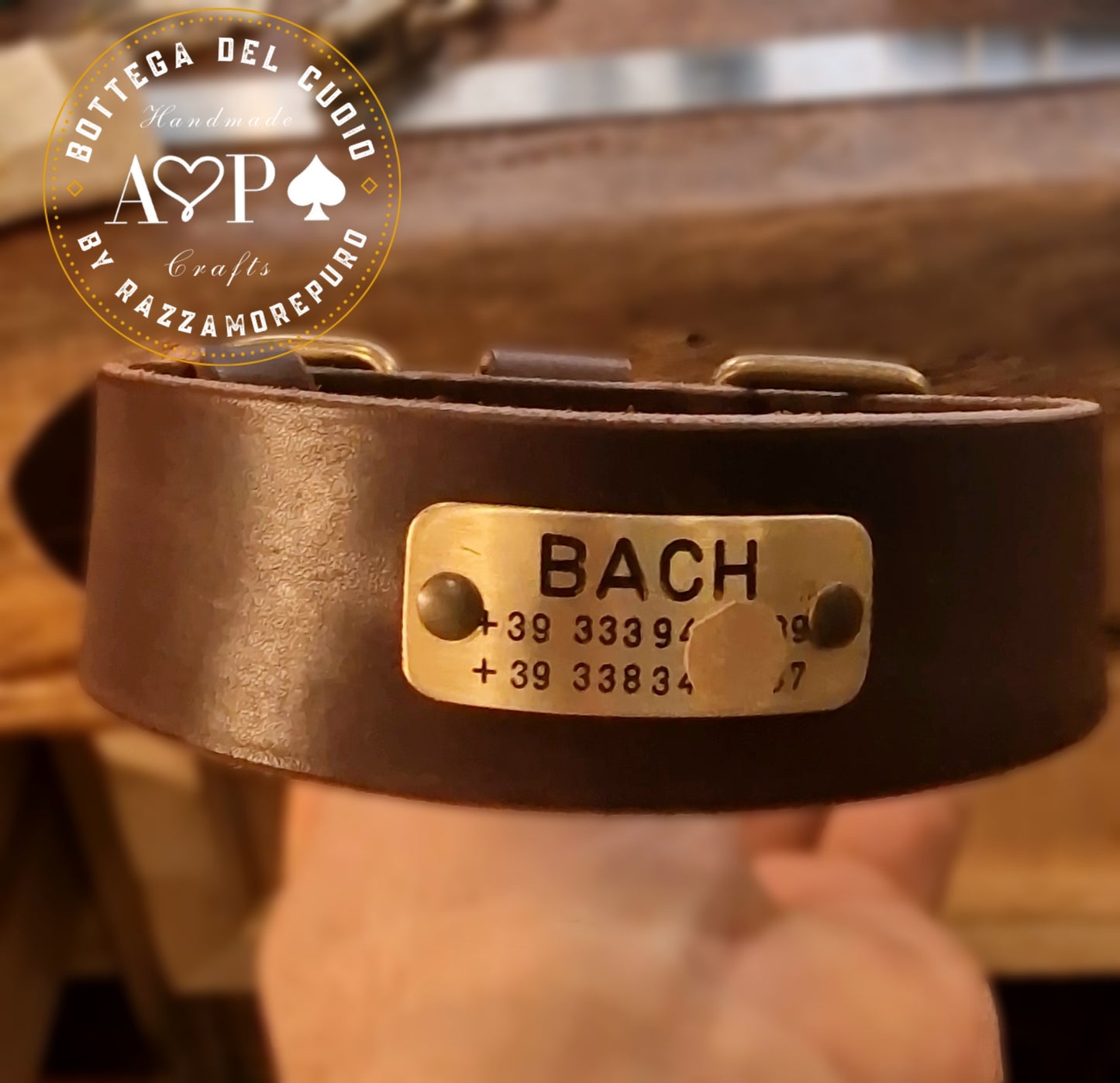 LEPUS collar with engraved name and telephone number (CUSTOMIZABLE FOR ALL SIZES)