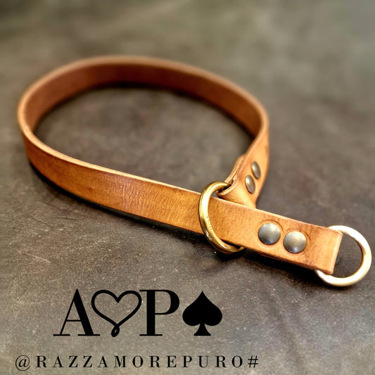 Collare CENTAURUS a scorrimento per cani di taglia grande