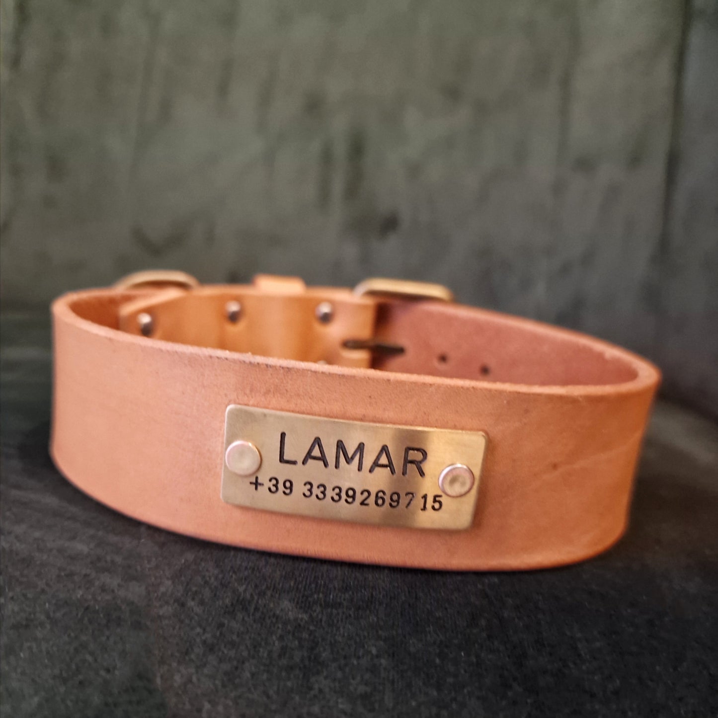 LEPUS collar with engraved name and telephone number (CUSTOMIZABLE FOR ALL SIZES)