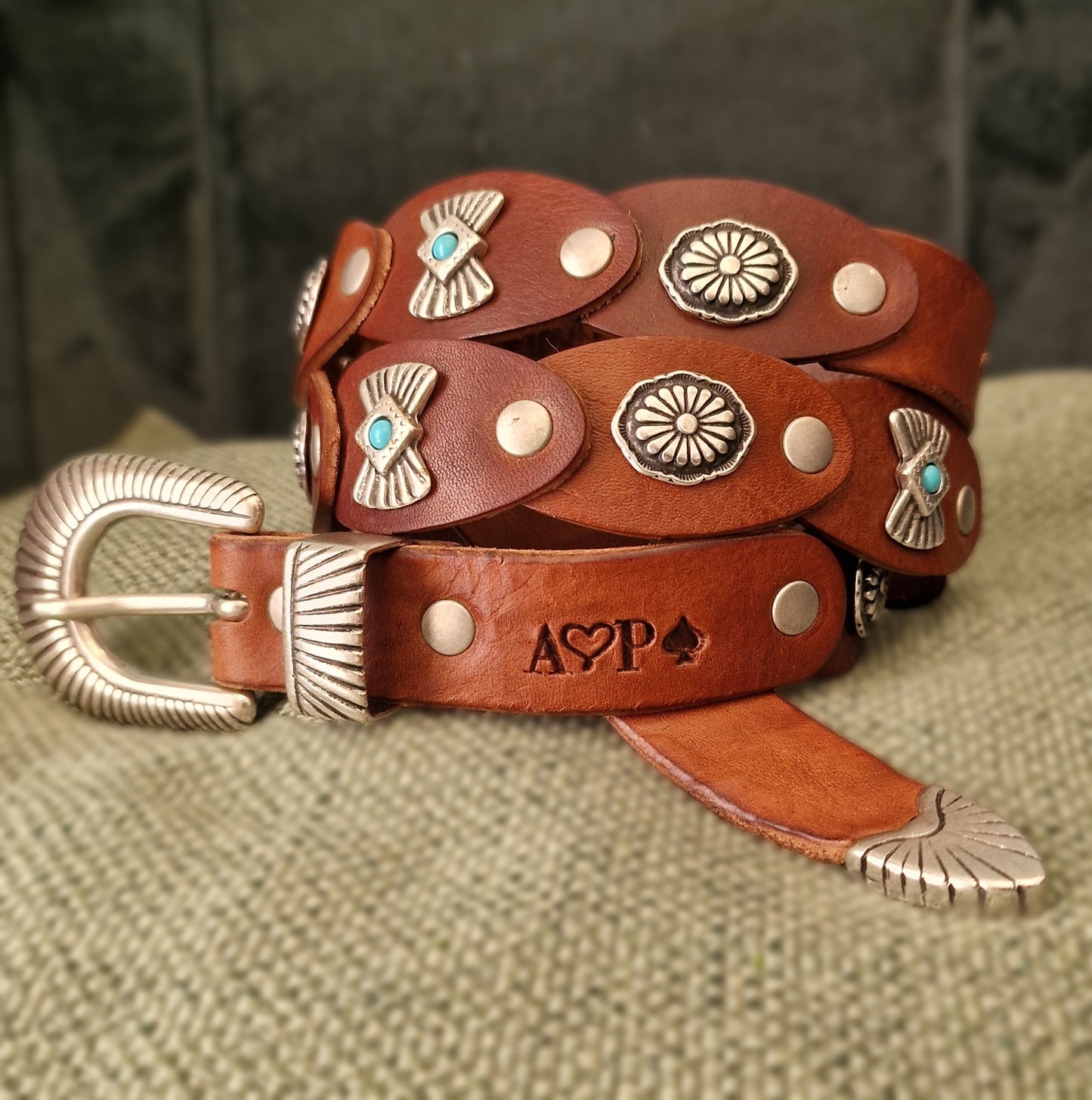 Cintura Camelopardalis