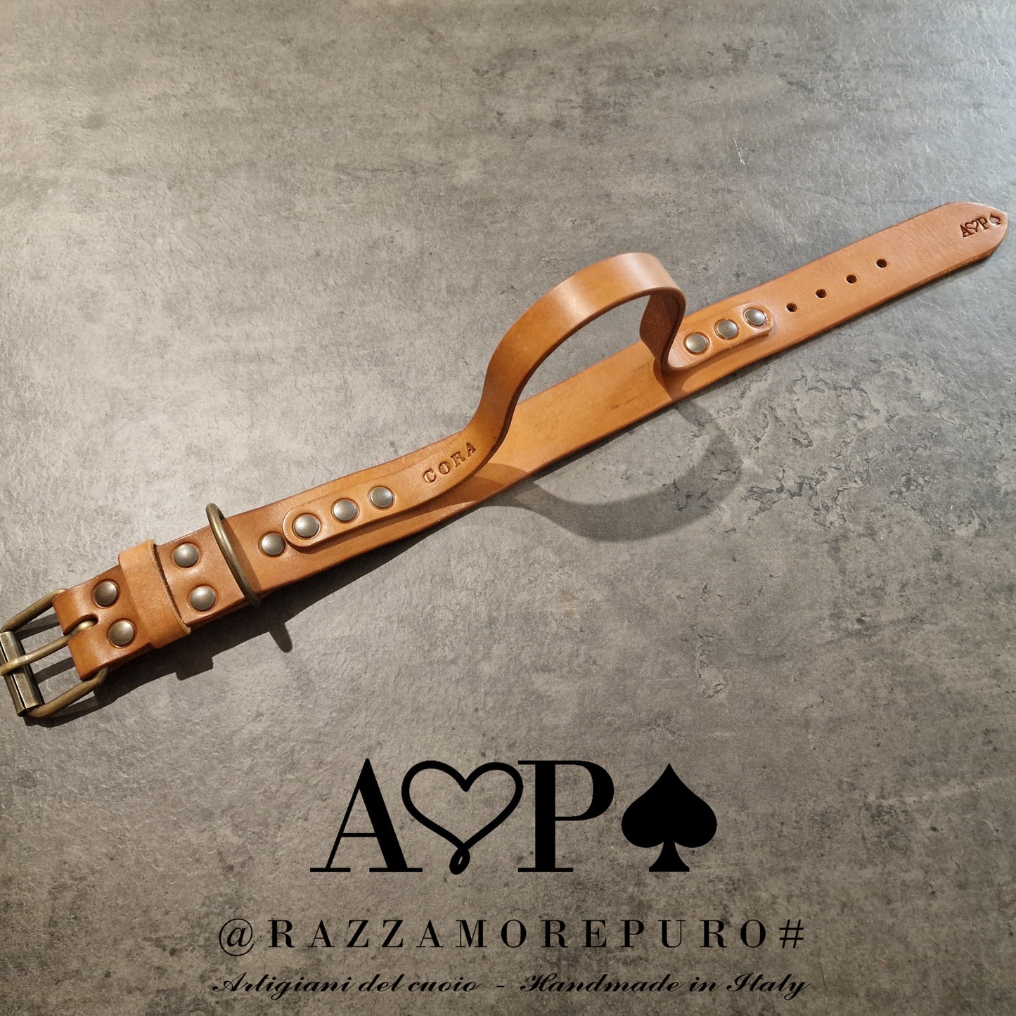 Collare con maniglia CORA (ideale per cani di taglia media, grande e maxi)