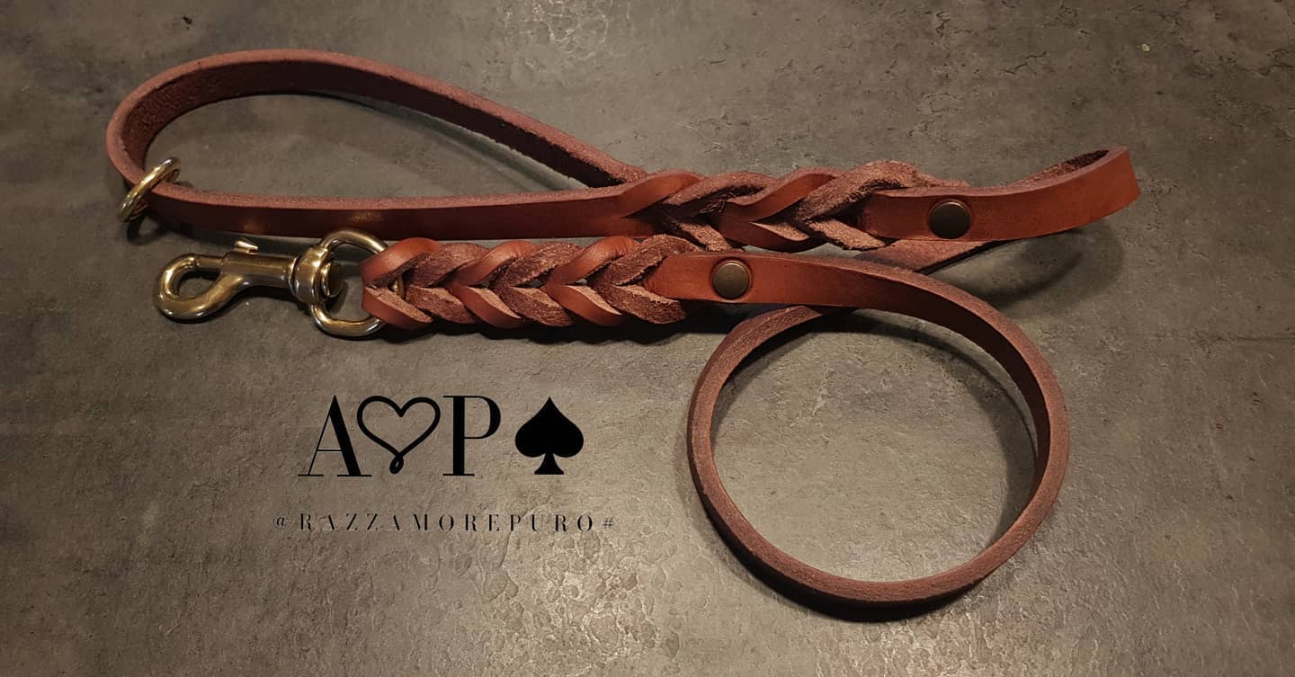 Laisse en cuir pour chien de grande race