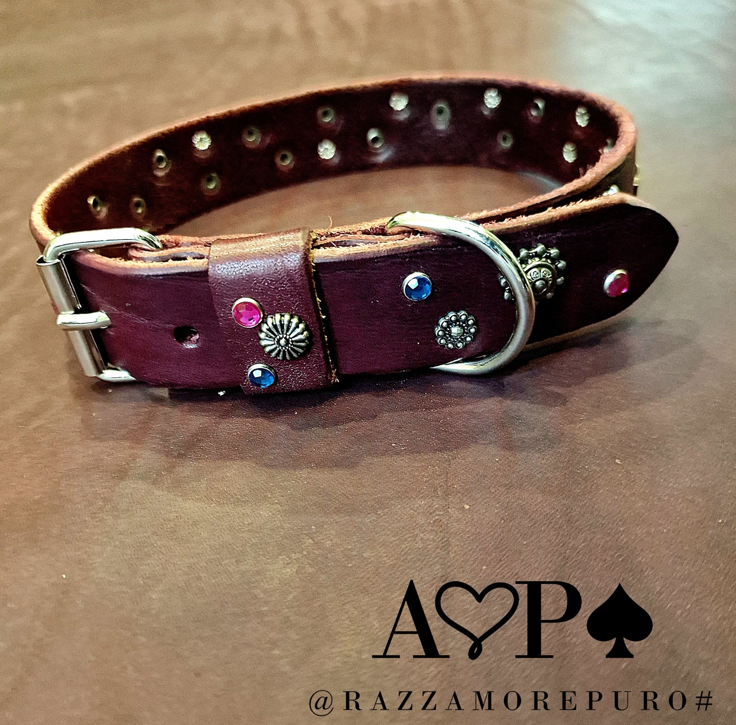 VELA collar (customizable for all sizes)