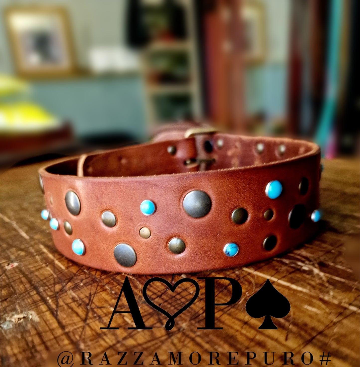 PAVO collar (customizable for all sizes)