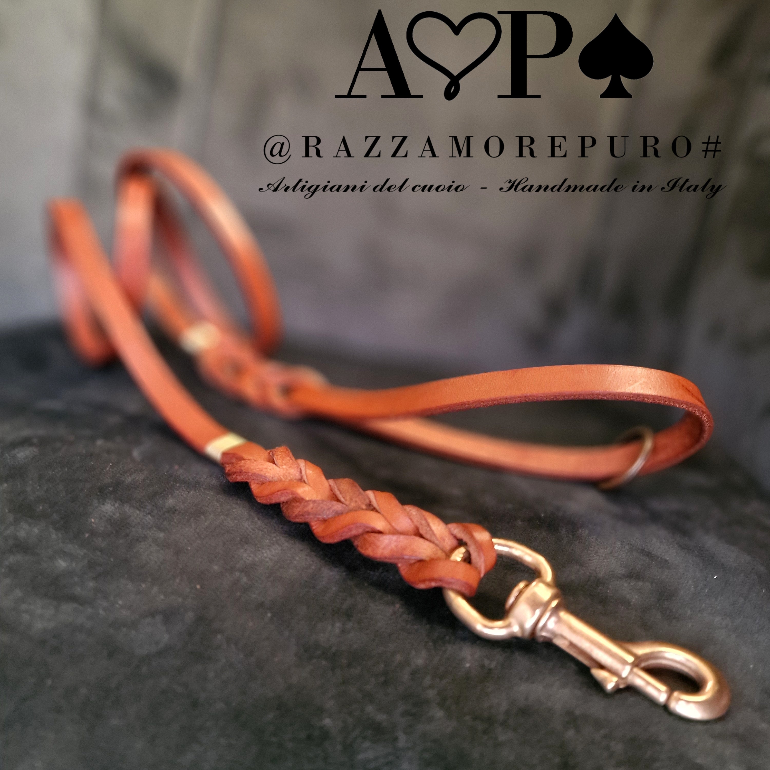 Discover the quality and robustness of our leather leashes for large dogs A P