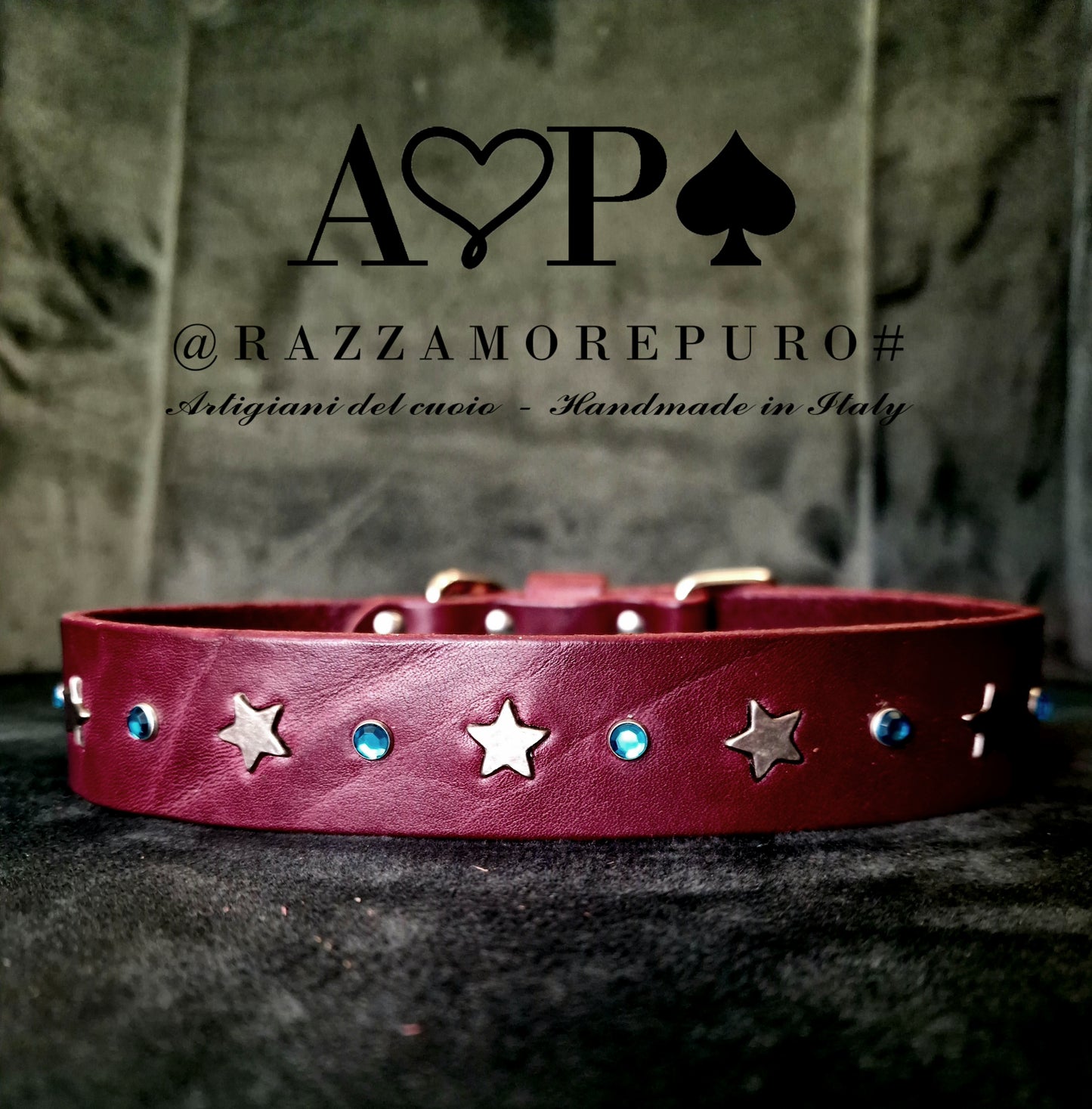 Pegasus collar (customizable for all sizes)