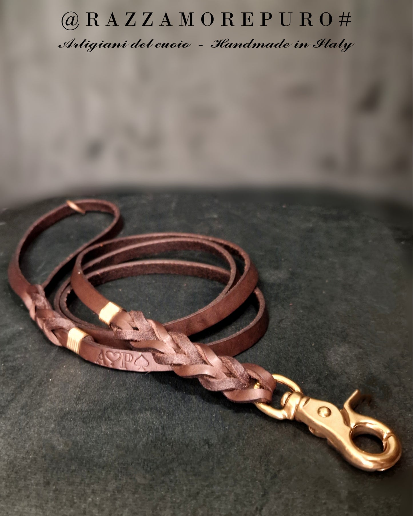 Laisse en cuir pour petits chiens