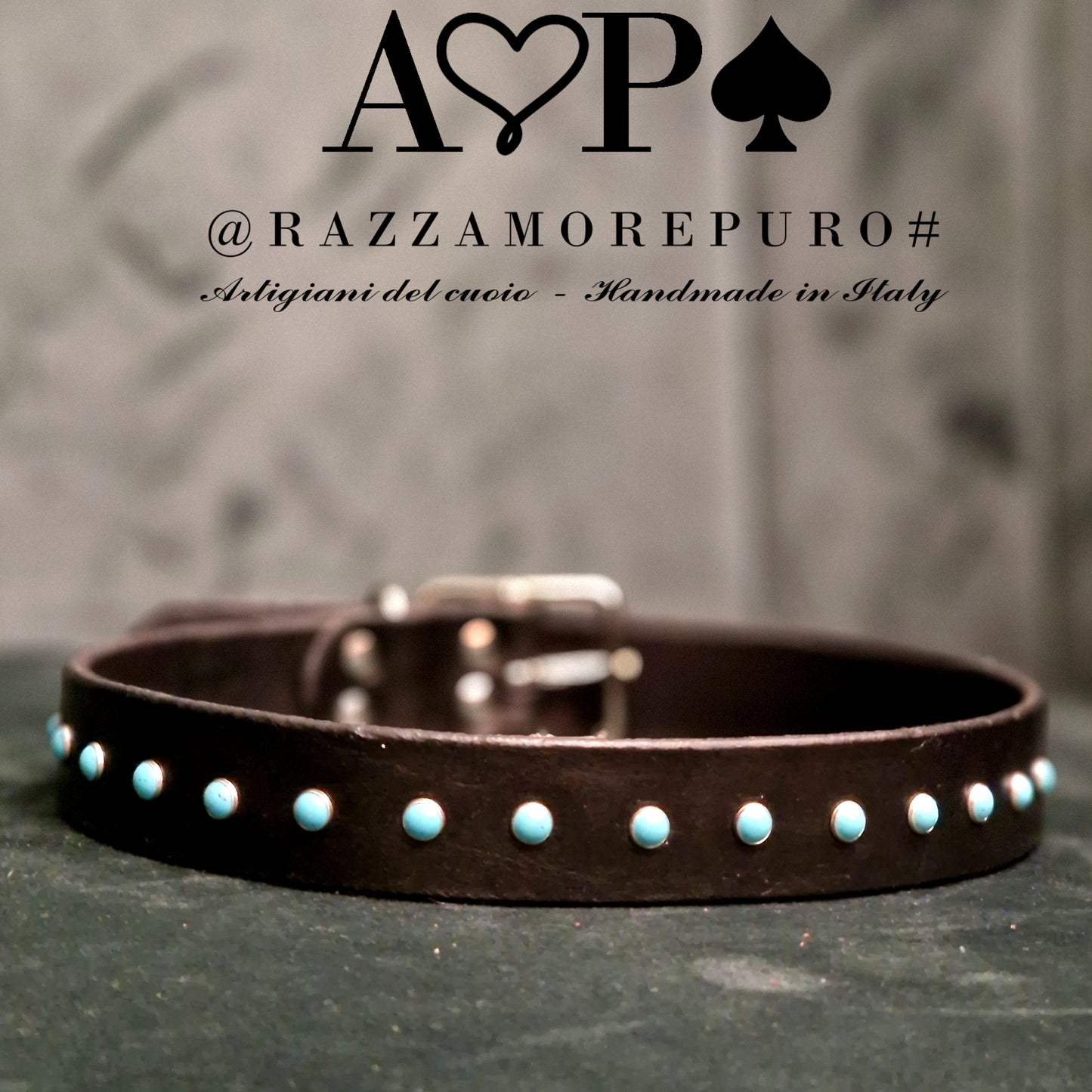 ANDROMEDA collar (CUSTOMIZABLE FOR ALL SIZES)