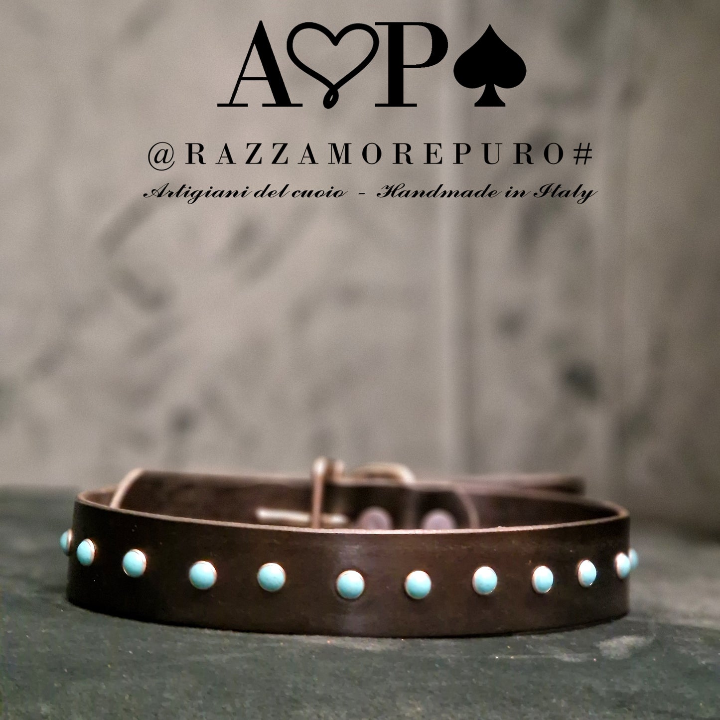 ANDROMEDA collar (CUSTOMIZABLE FOR ALL SIZES)