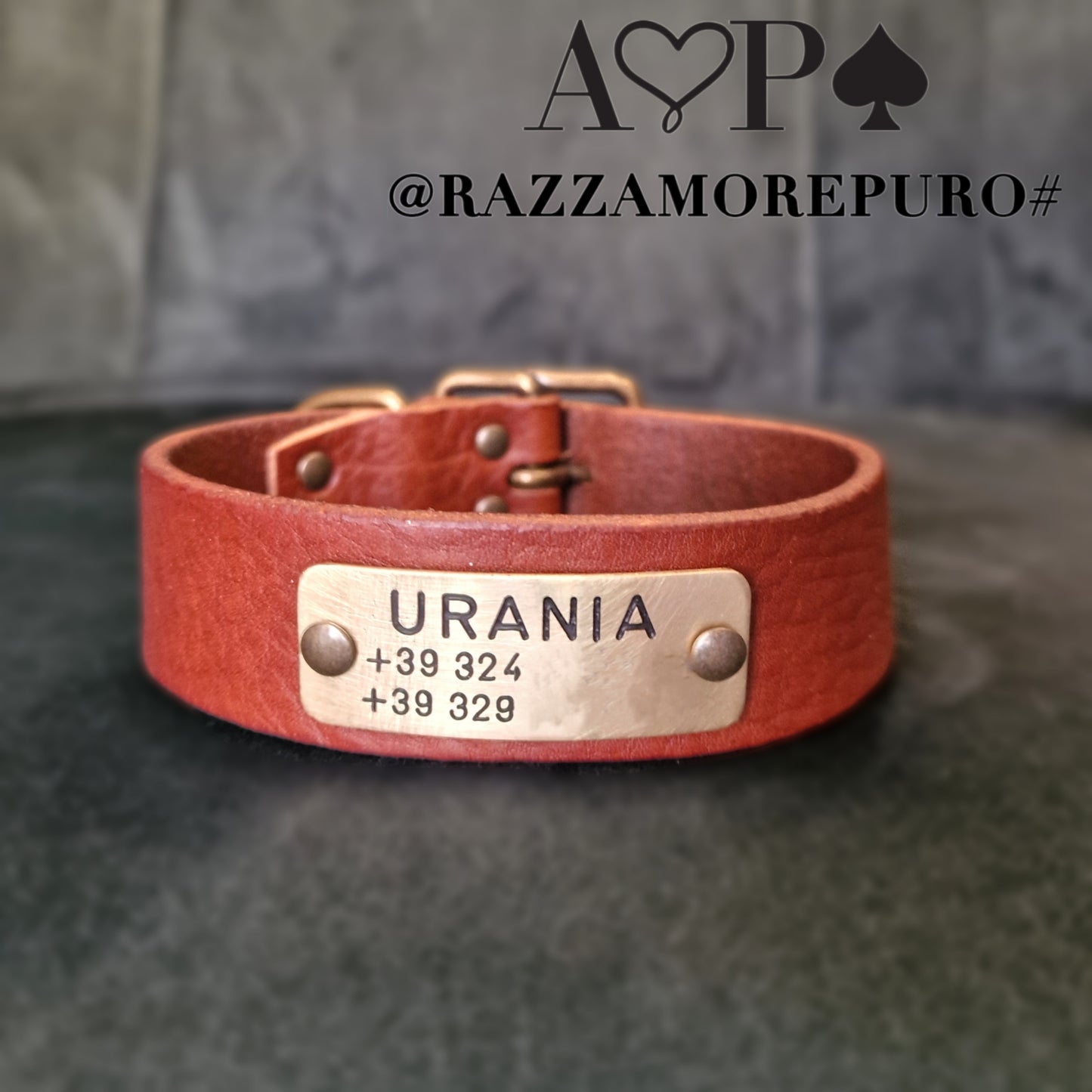 LEPUS collar with engraved name and telephone number (CUSTOMIZABLE FOR ALL SIZES)