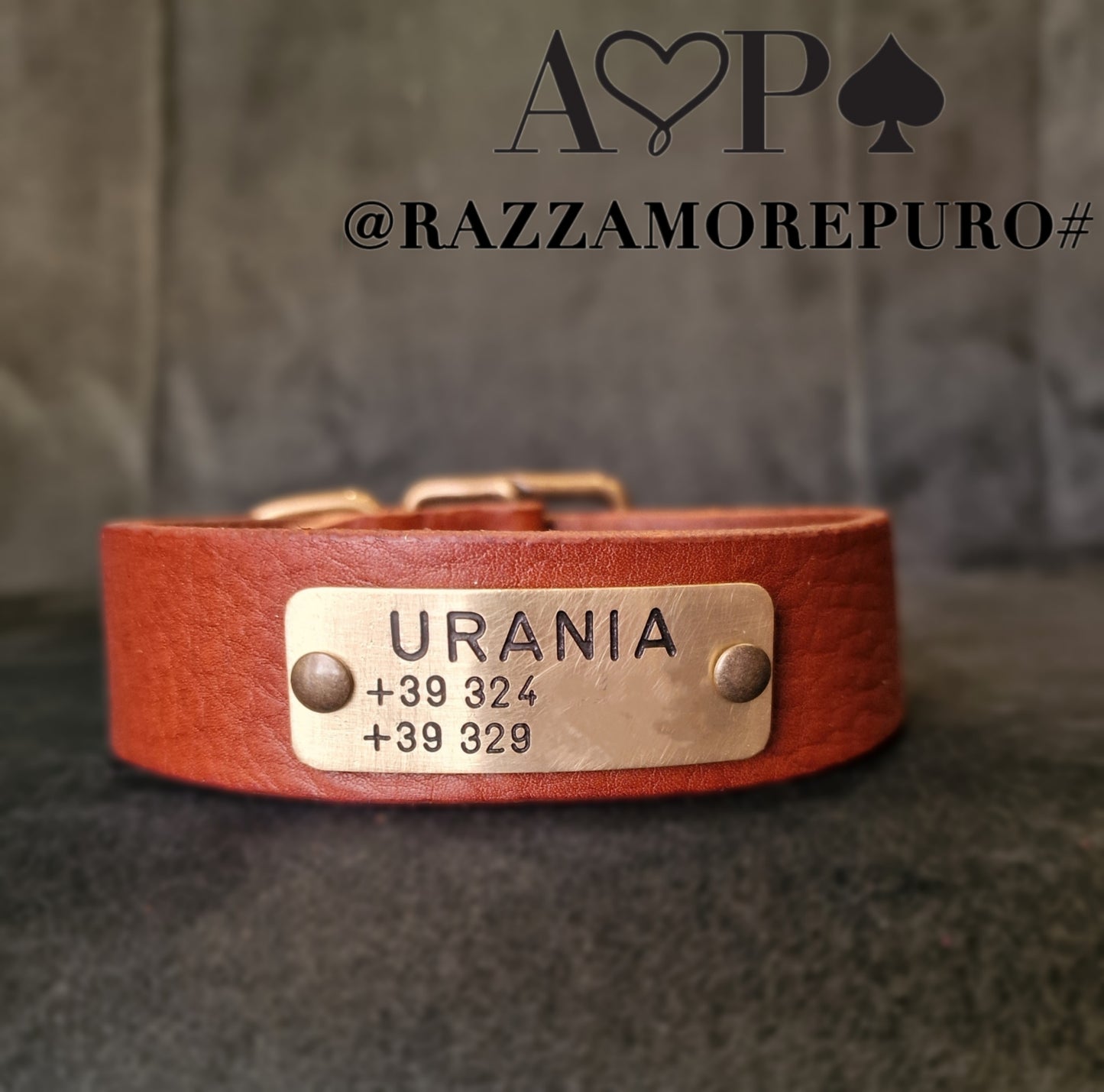 LEPUS collar with engraved name and telephone number (CUSTOMIZABLE FOR ALL SIZES)