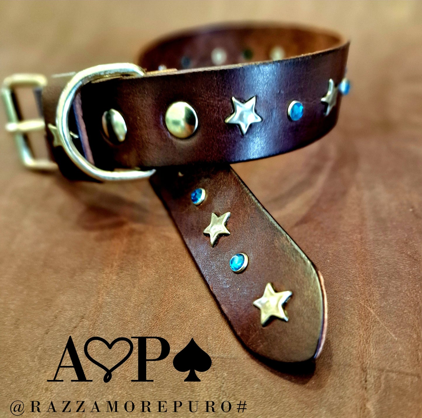 Pegasus collar (customizable for all sizes)