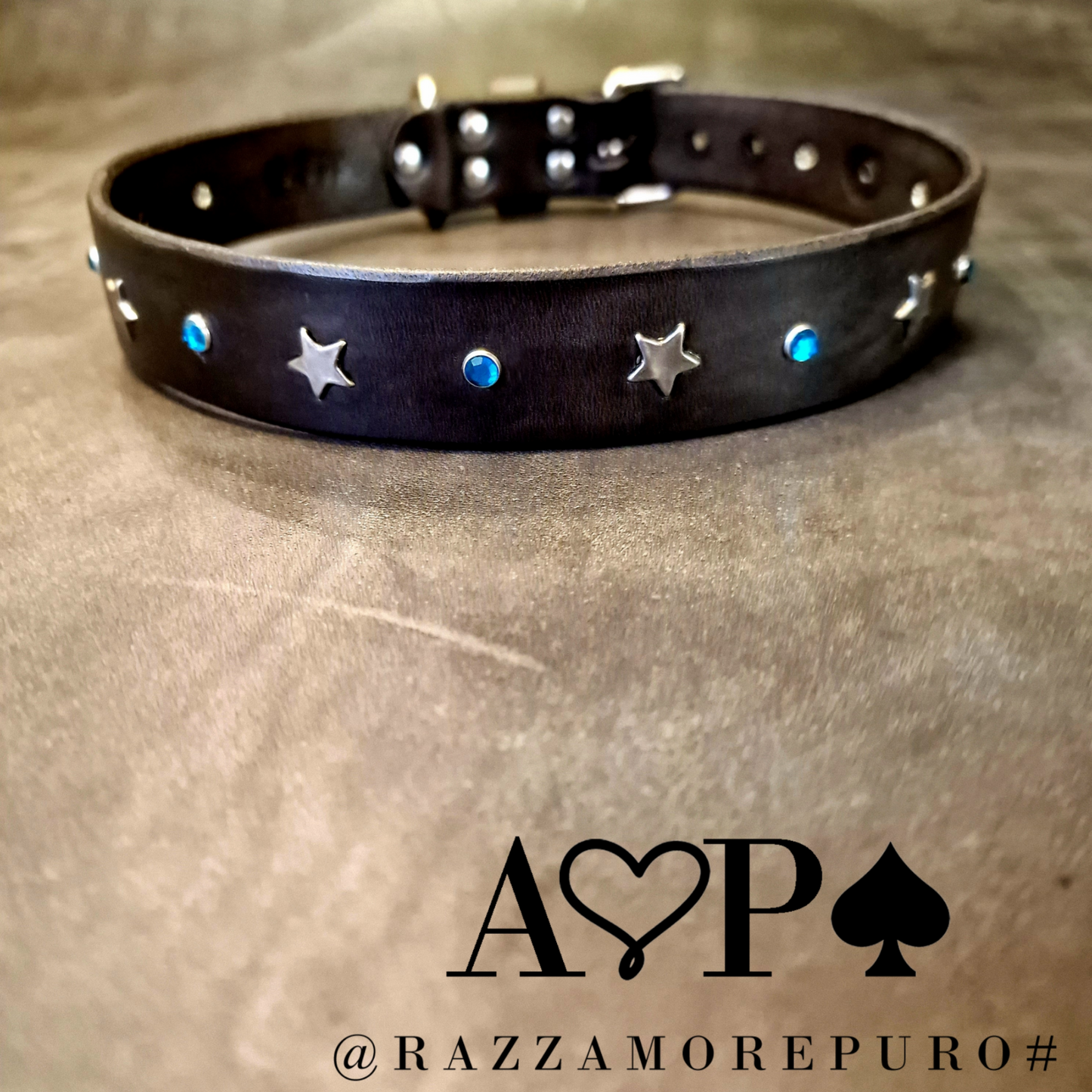 Pegasus collar (customizable for all sizes)