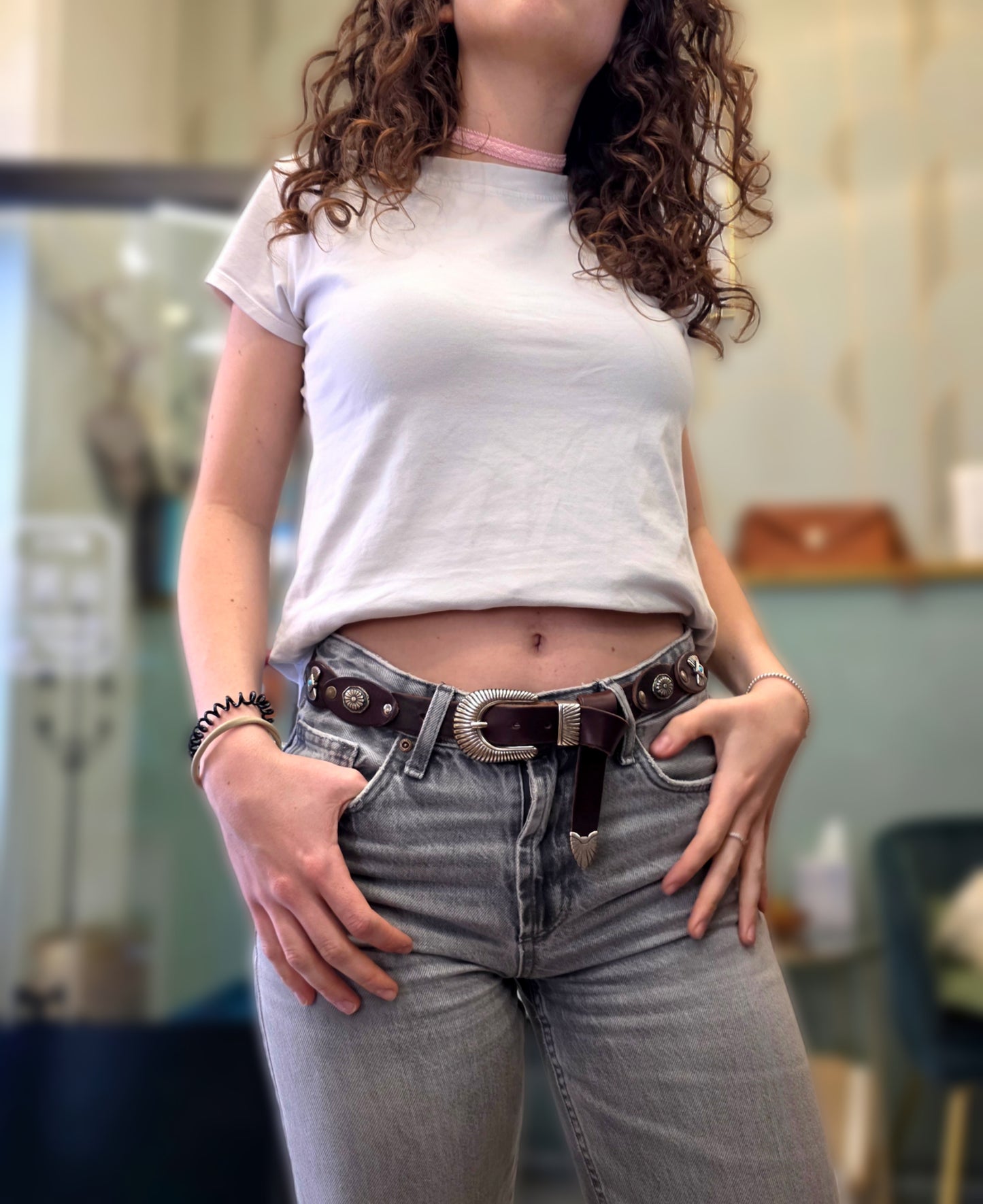 Cintura Camelopardalis