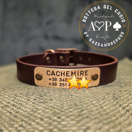 Collier LEPUS avec nom et numéro de téléphone gravés (PERSONNALISABLE POUR TOUTES TAILLES)