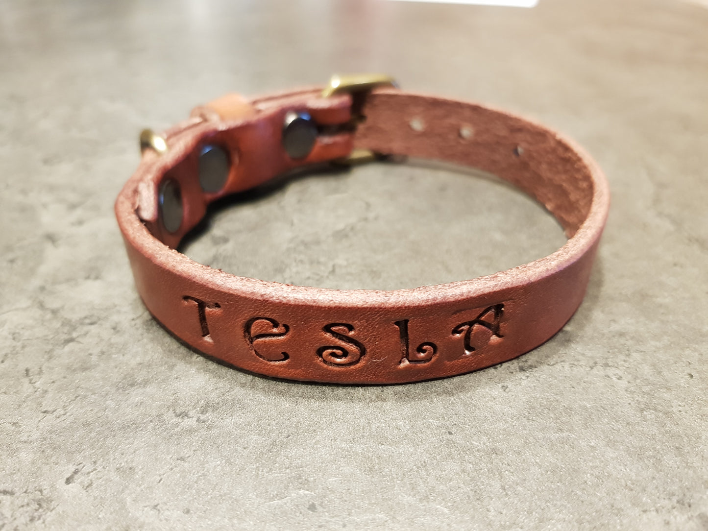 LEPUS collar with engraved name (CUSTOMIZABLE FOR ALL SIZES)