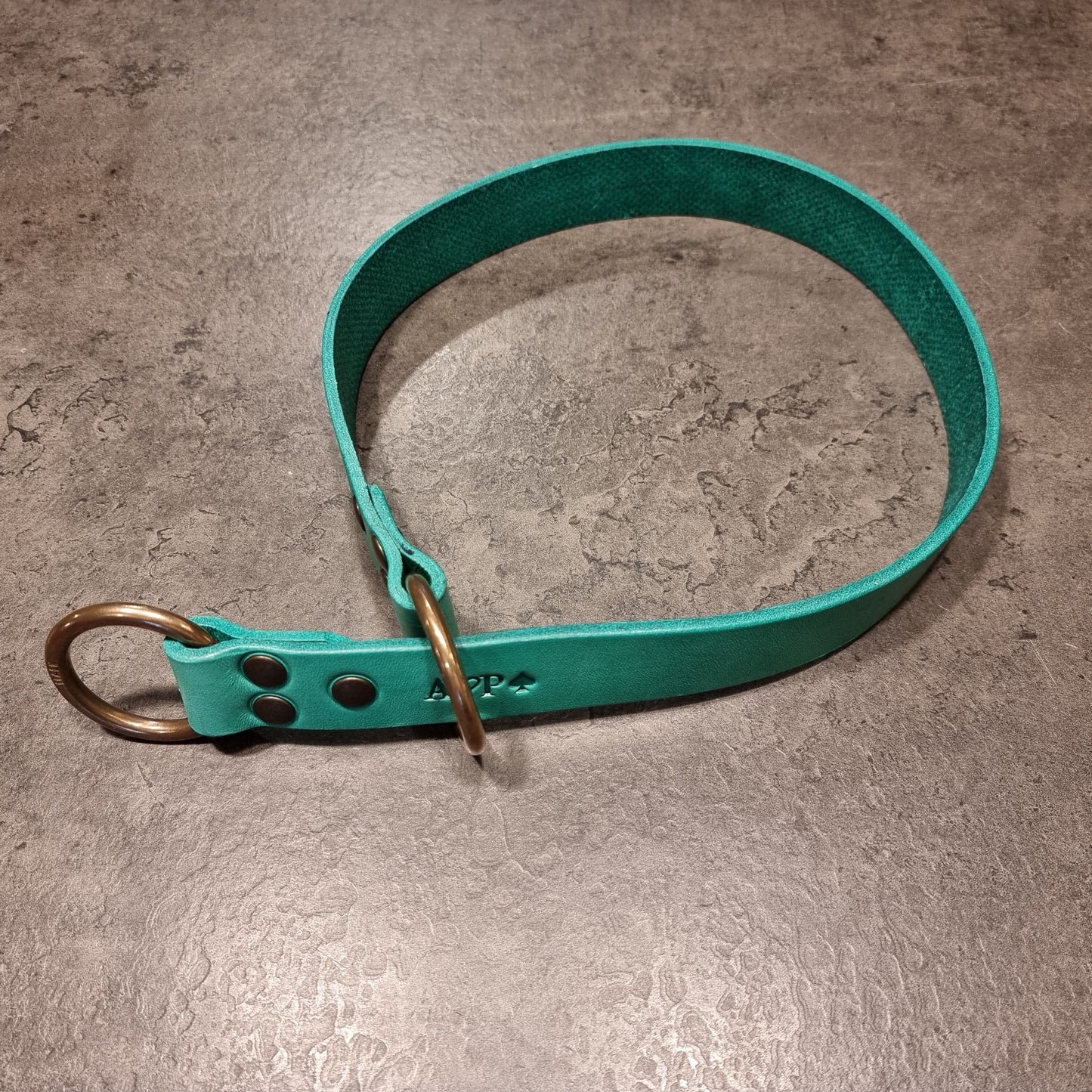 Collier coulissant CENTAURUS pour chien de grande race