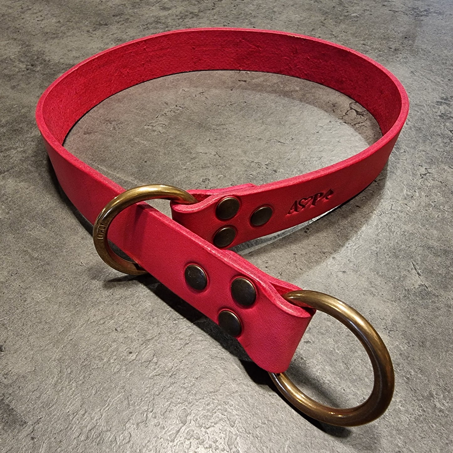 CENTAURUS sliding collar for large breed dogs