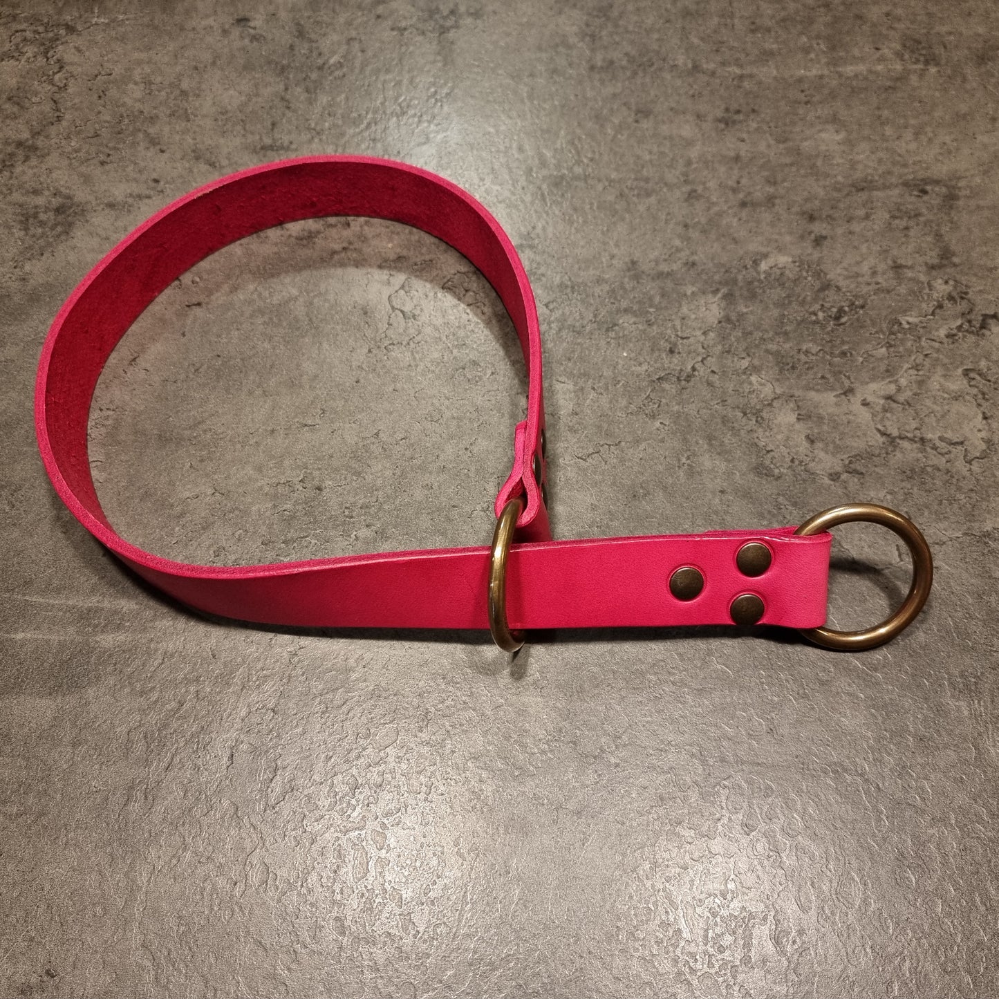 CENTAURUS sliding collar for large breed dogs