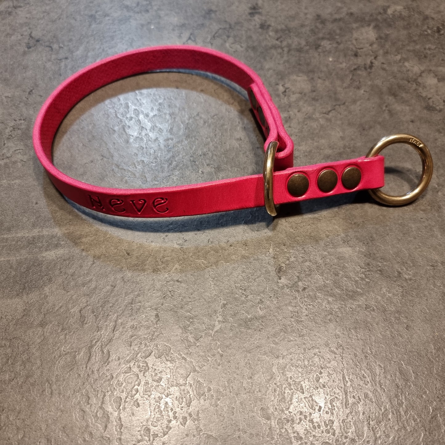 CENTAURUS sliding collar for large breed dogs