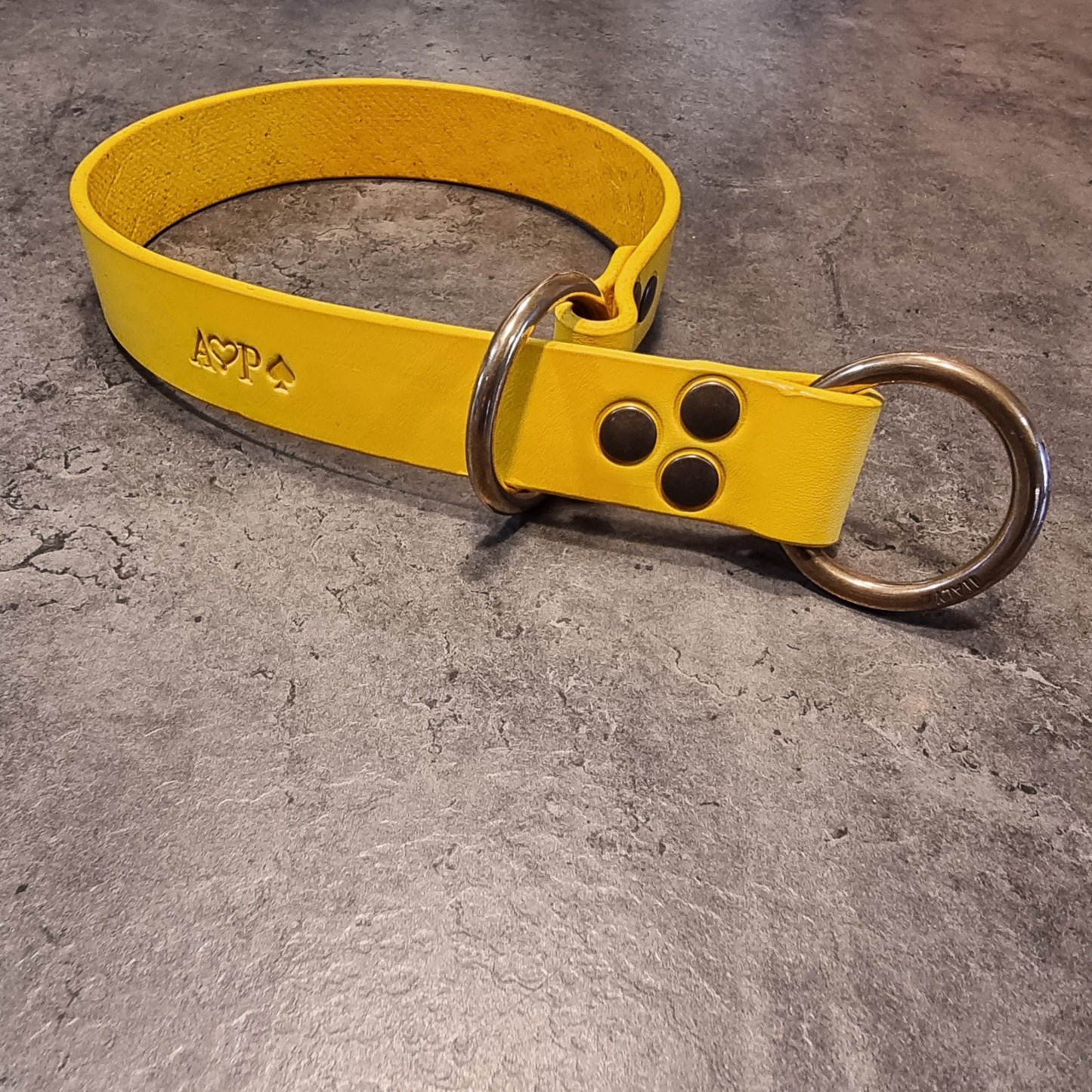 CENTAURUS sliding collar for large breed dogs