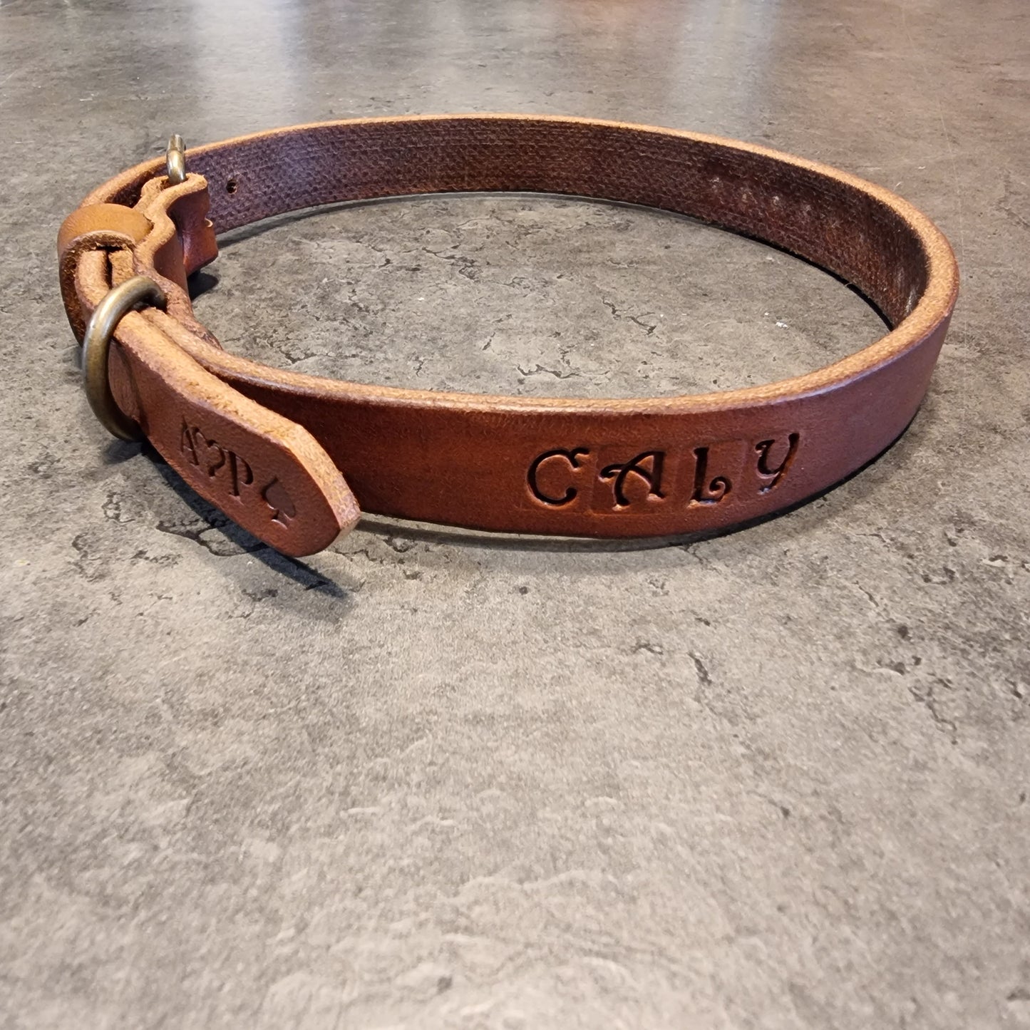 LEPUS collar with engraved name (CUSTOMIZABLE FOR ALL SIZES)