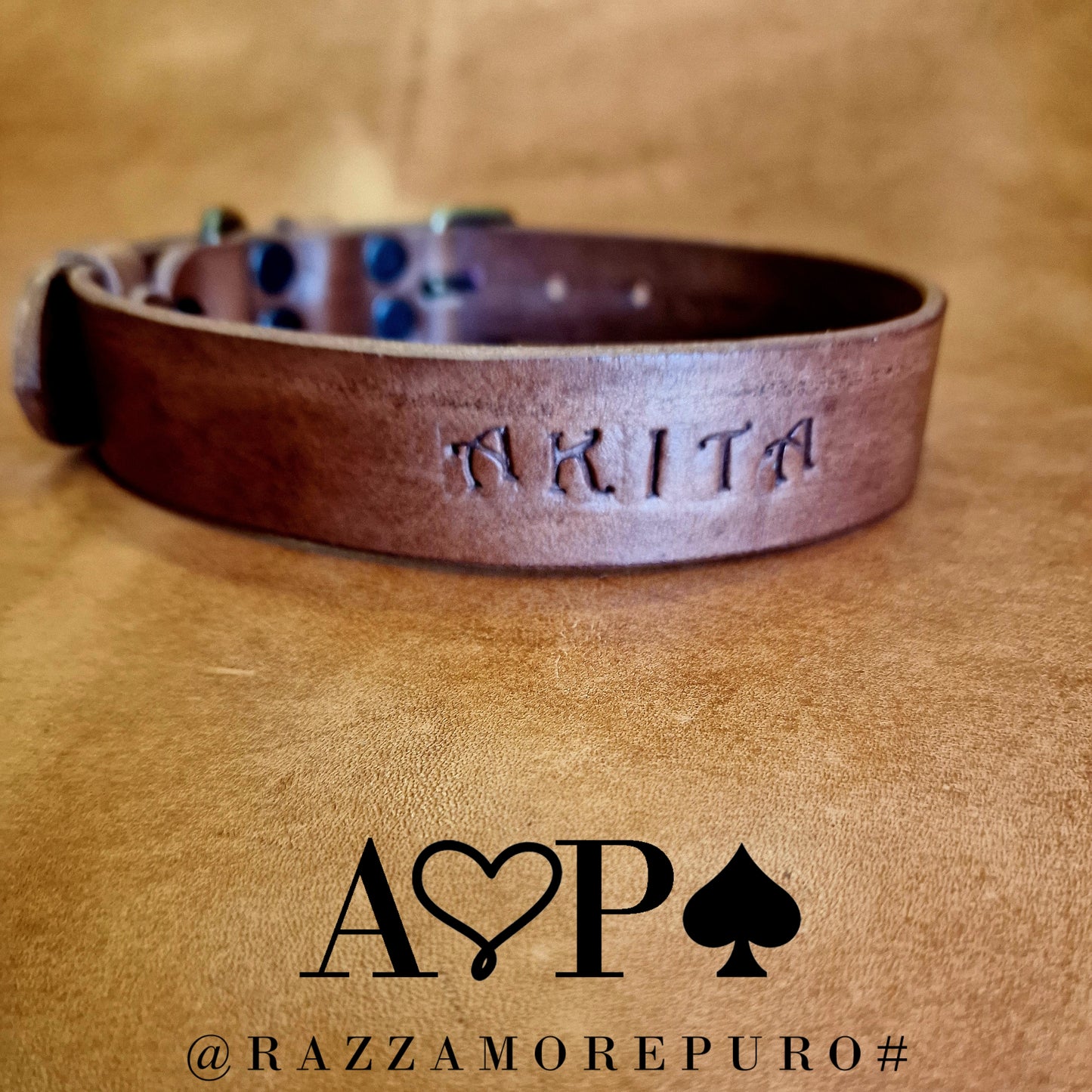 LEPUS collar with engraved name (CUSTOMIZABLE FOR ALL SIZES)