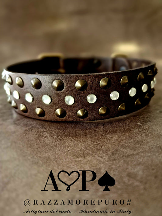 APUS collar (ideal for medium and large sizes)