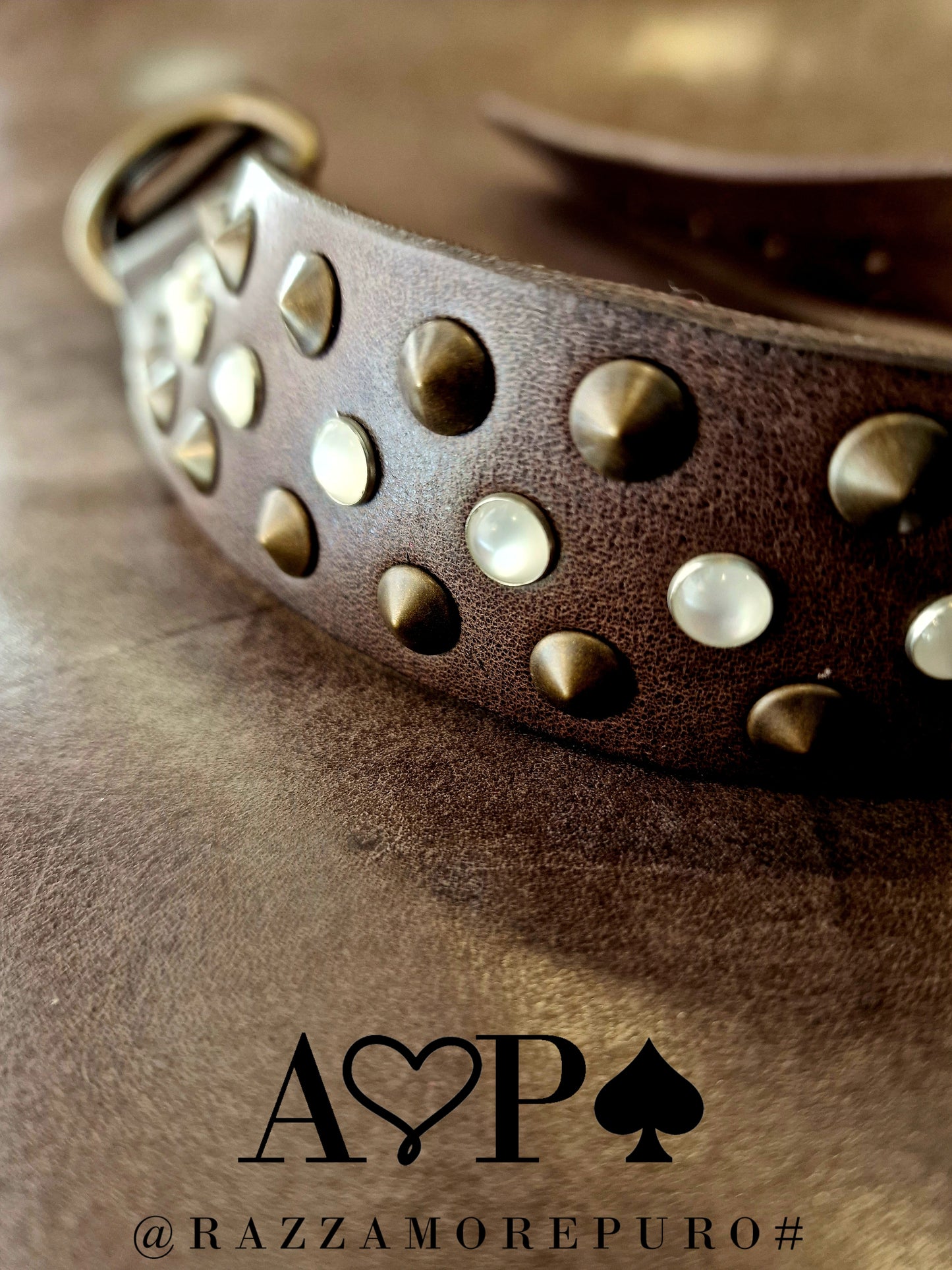 APUS collar (ideal for medium and large sizes)