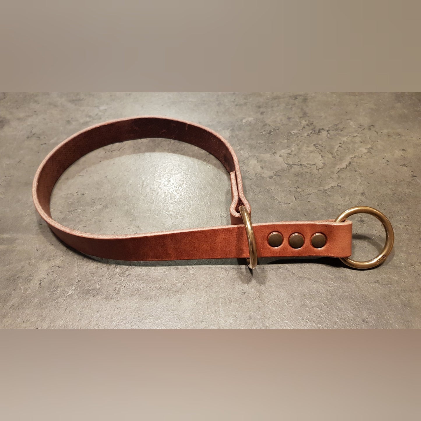 Collier coulissant CENTAURUS pour chien de grande race