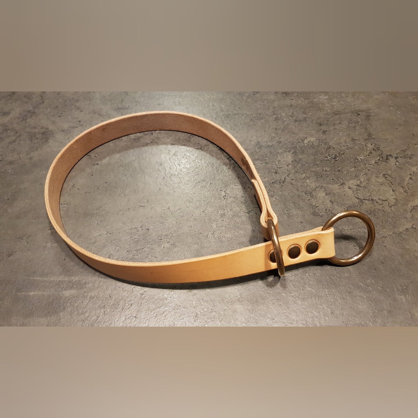 CENTAURUS sliding collar for large breed dogs