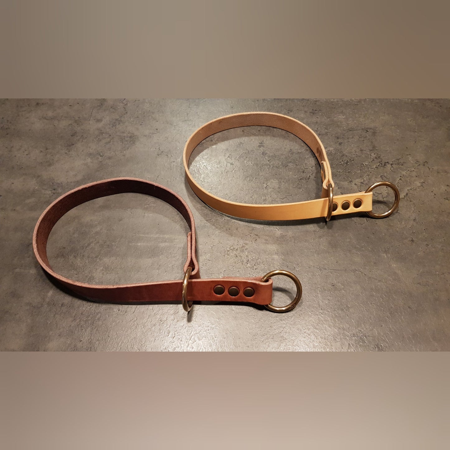 CENTAURUS sliding collar for large breed dogs