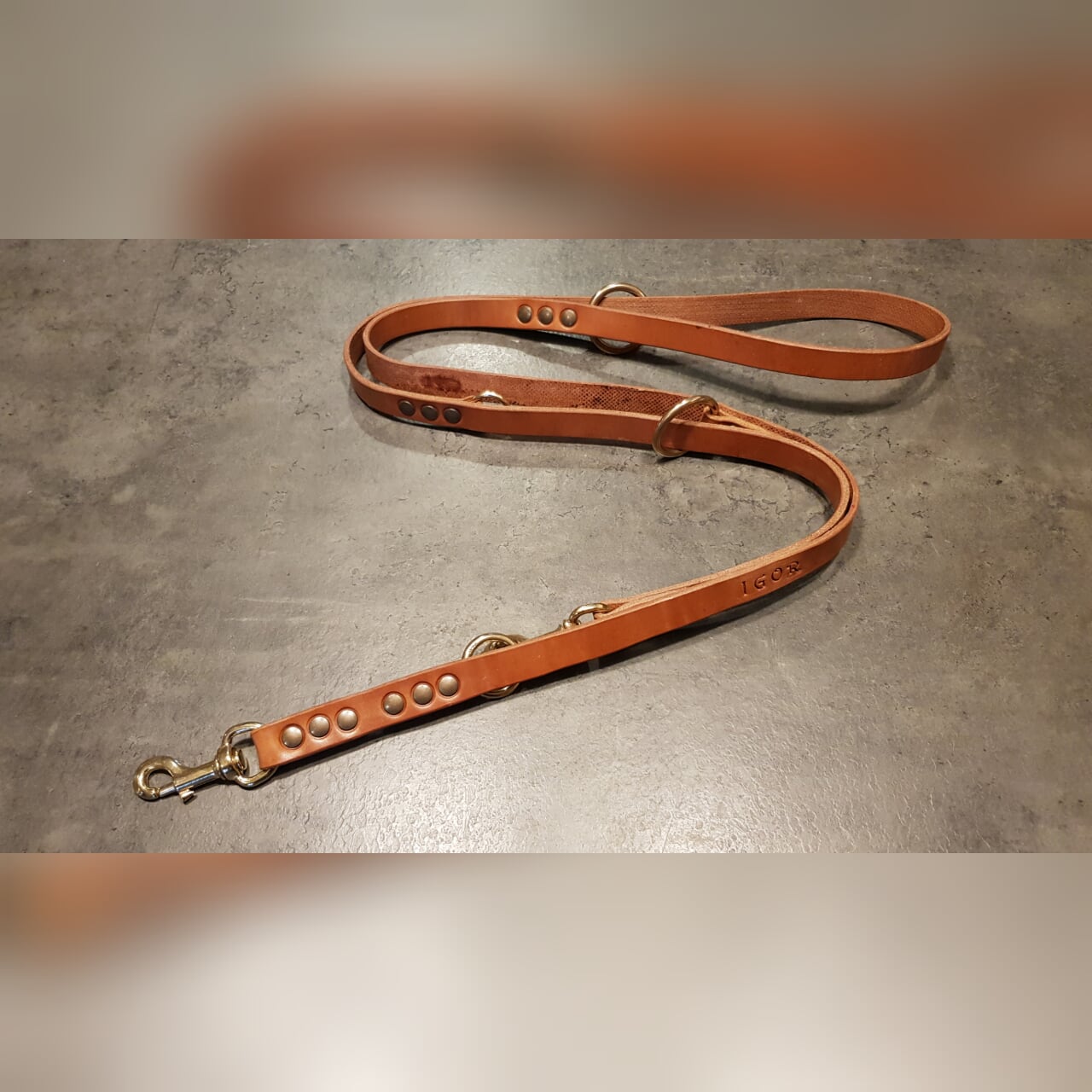 VULPECULA adjustable leash for medium size