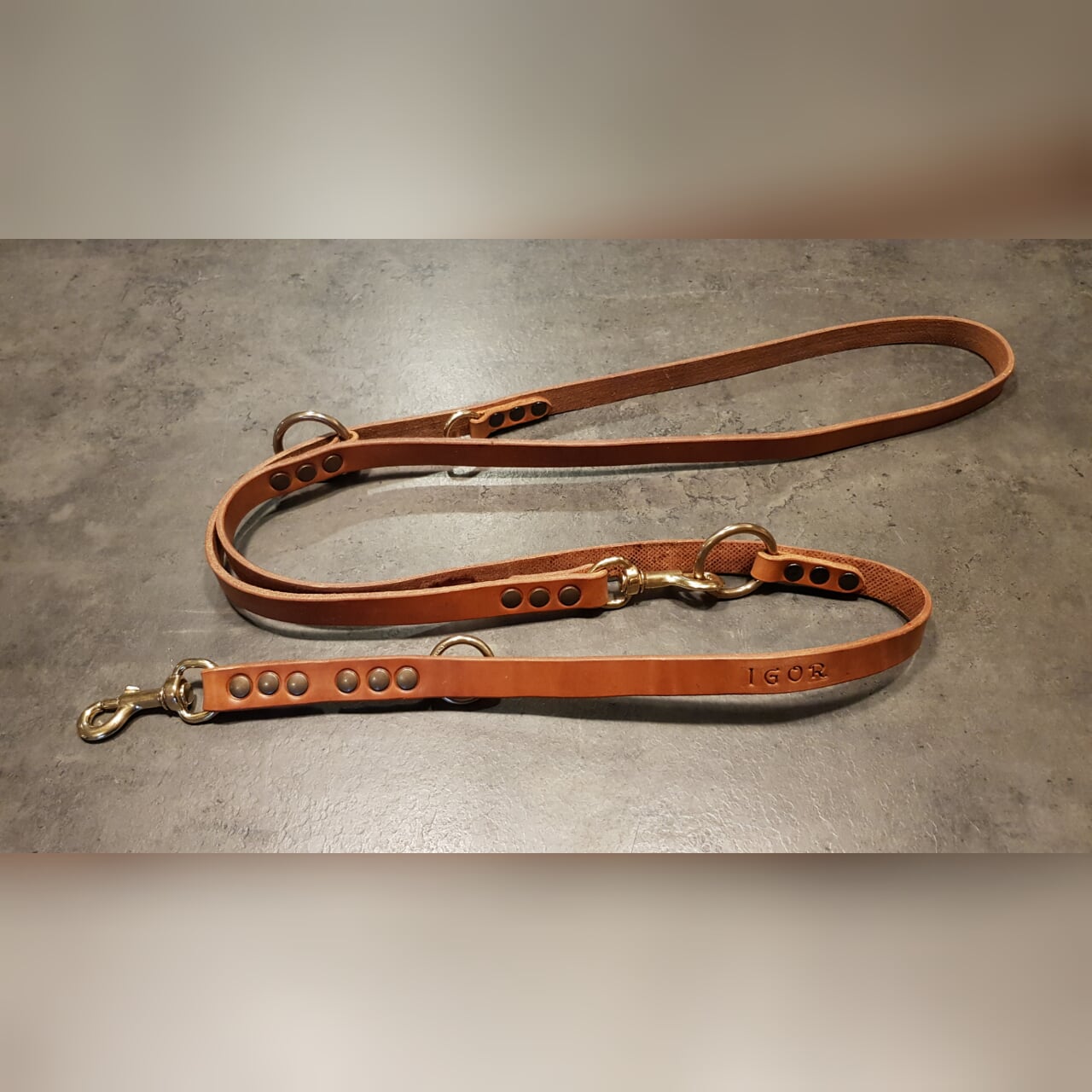 VULPECULA adjustable leash for medium size