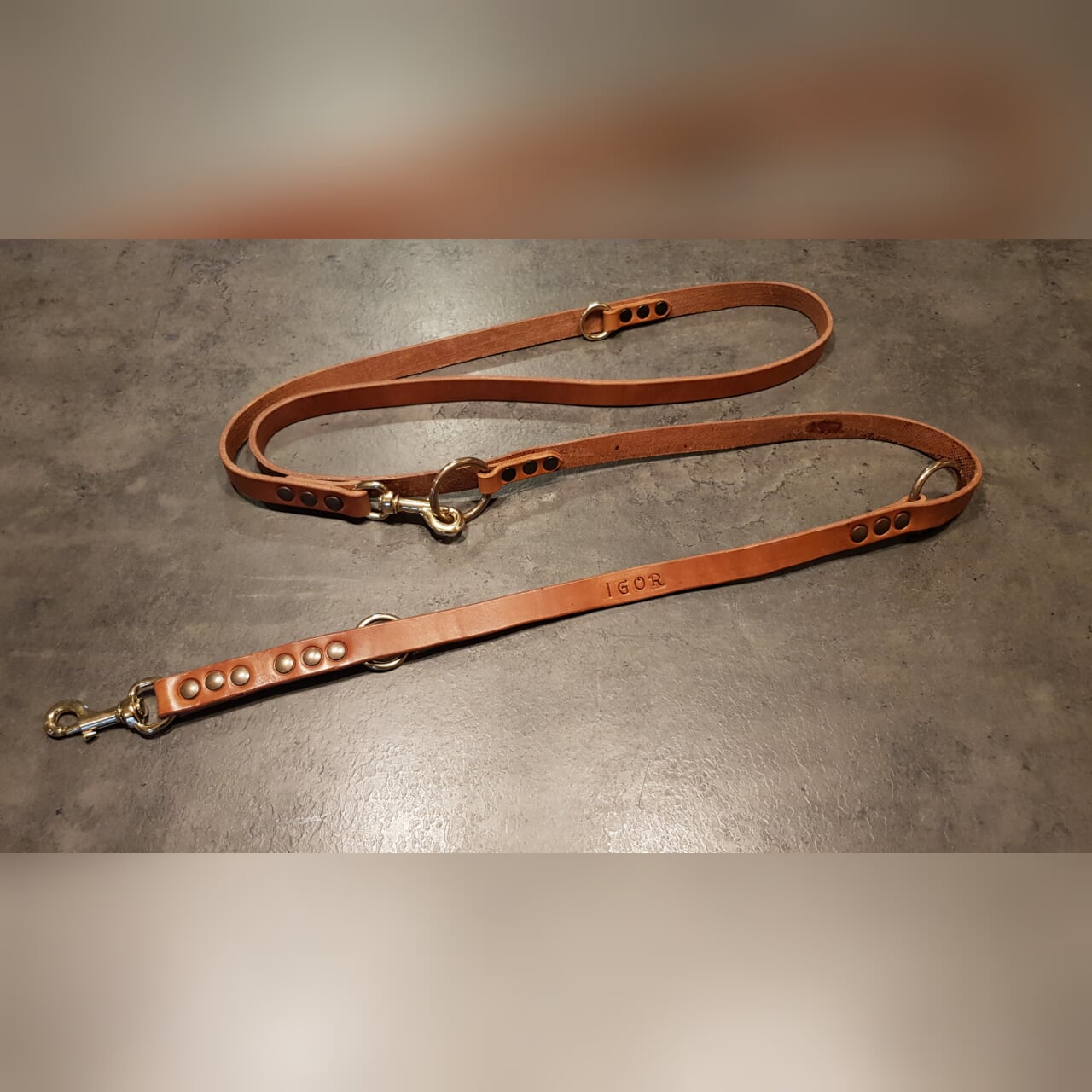 VULPECULA adjustable leash for medium size