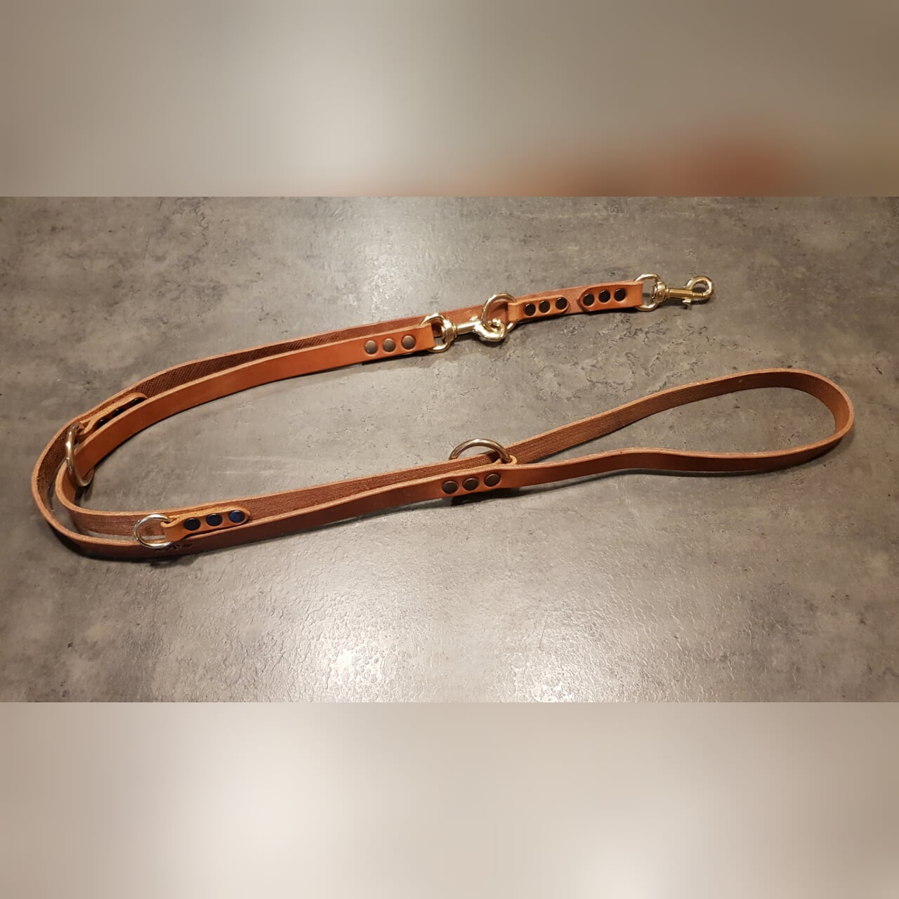 VULPECULA adjustable leash for medium size