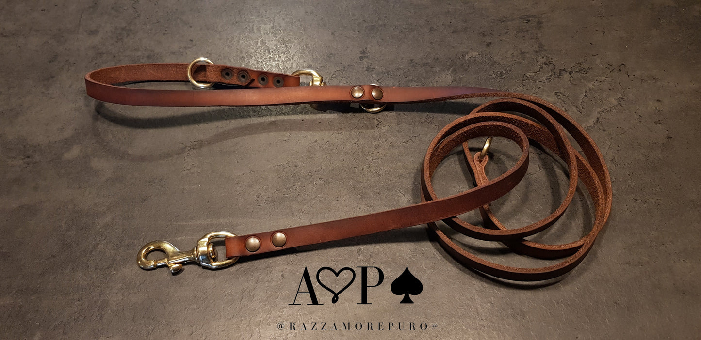 VULPECULA adjustable leash for medium size