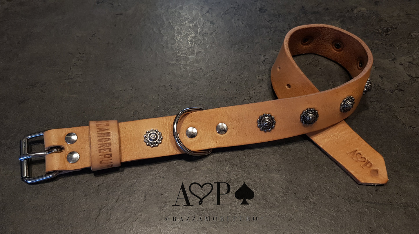 DIATO collar (customizable for all sizes)