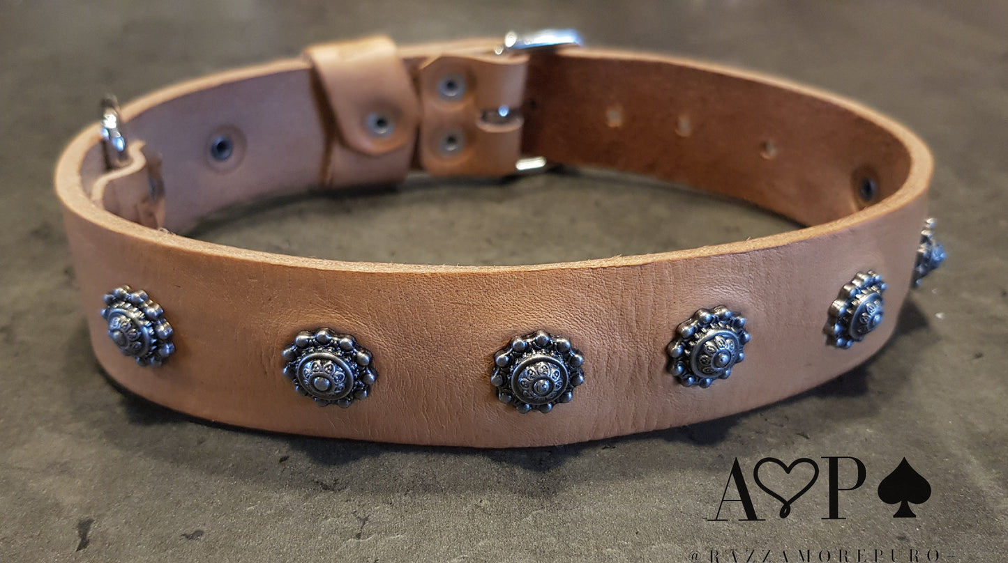 DIATO collar (customizable for all sizes)