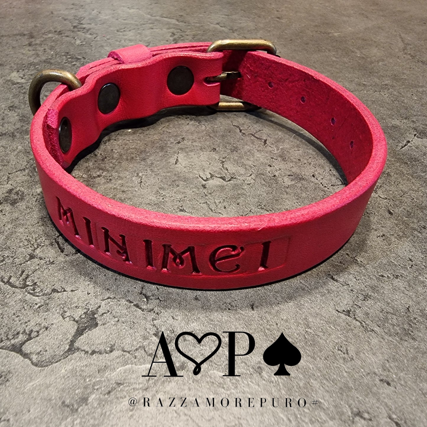 LEPUS collar with engraved name (CUSTOMIZABLE FOR ALL SIZES)