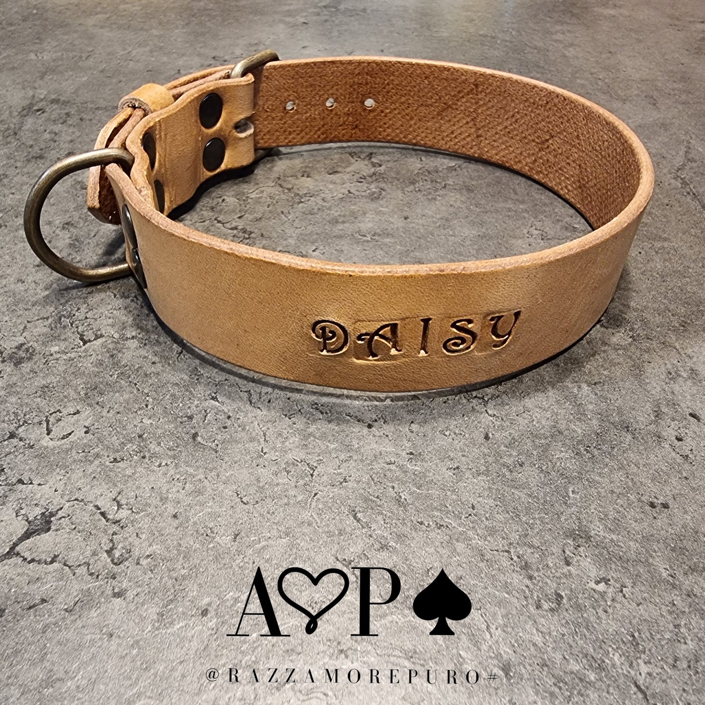 LEPUS collar with engraved name (CUSTOMIZABLE FOR ALL SIZES)