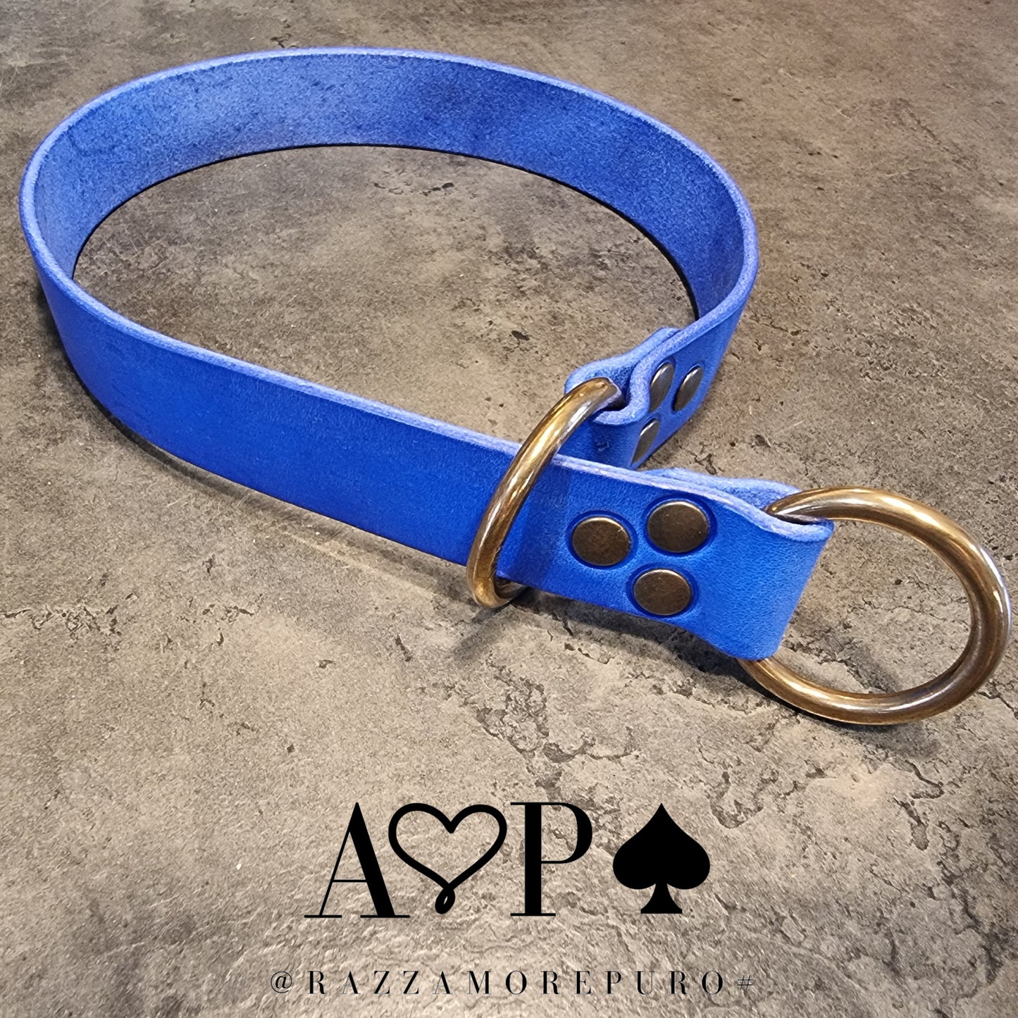 CENTAURUS sliding collar for large breed dogs