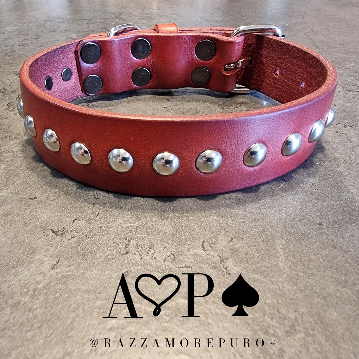 MOZI collar (CUSTOMIZABLE FOR ALL SIZES)