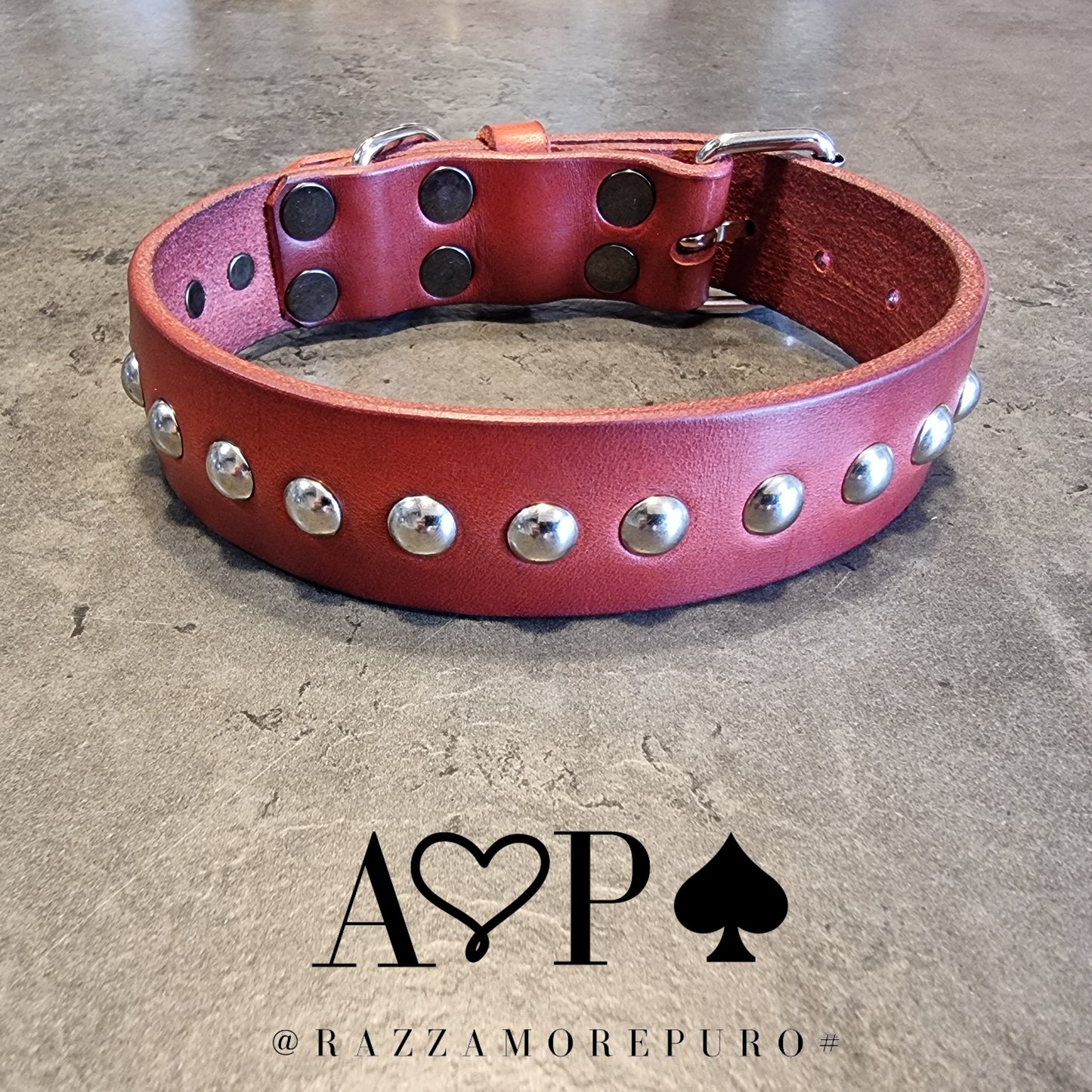 MOZI collar (CUSTOMIZABLE FOR ALL SIZES)