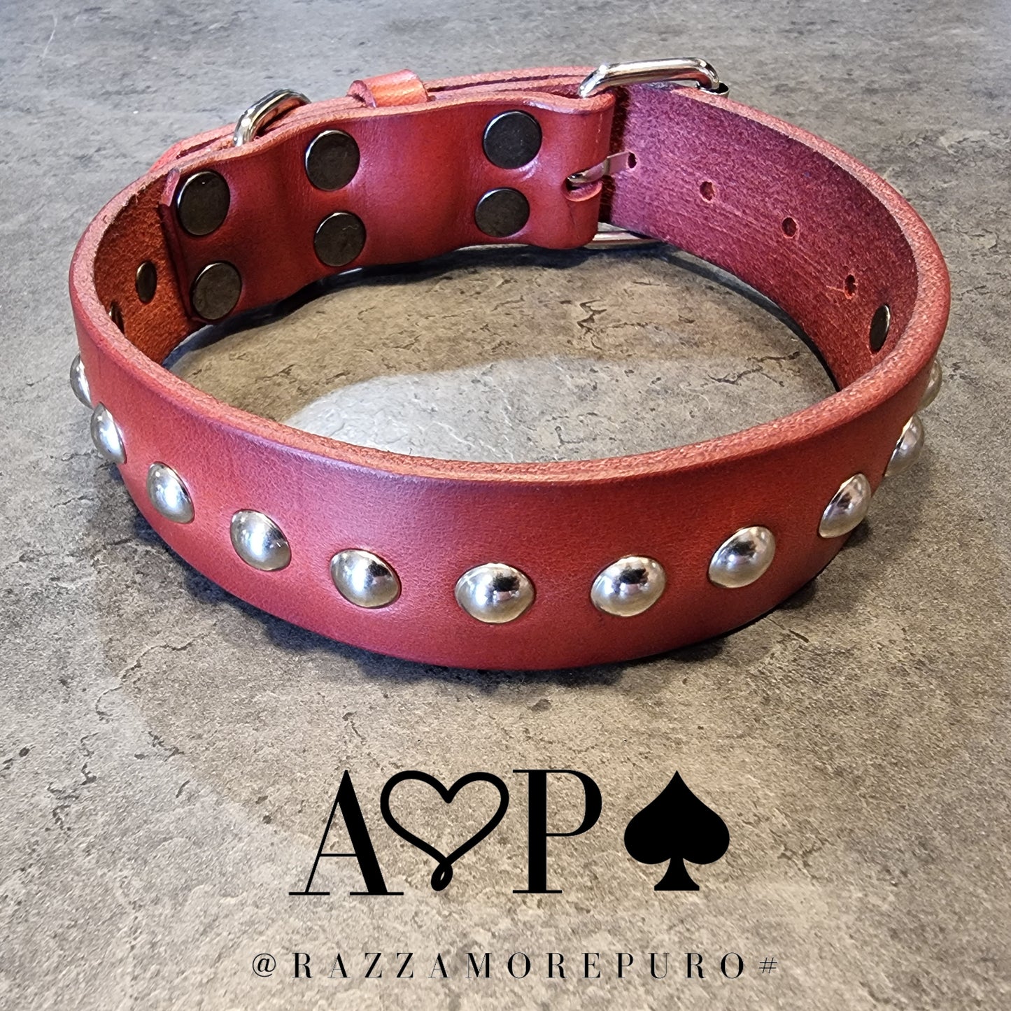 MOZI collar (CUSTOMIZABLE FOR ALL SIZES)